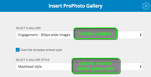 galleries_select_style_override