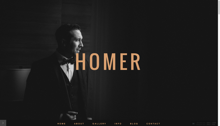homer_home
