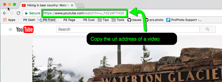 Step 1: Copy the address from YouTube.