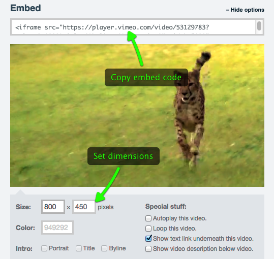 Vimeo embed with custom dimensions